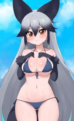 Rule 34 | 1girl, animal ears, bikini, black gloves, black hair, blue bikini, blue sky, blush, breasts, brown eyes, cleavage, closed mouth, cloud, cloudy sky, commentary, cowboy shot, day, elbow gloves, extra ears, fox ears, fox tail, front-tie bikini top, front-tie top, frown, gloves, gluteal fold, gradient hair, hands on own chest, highres, kemono friends, long hair, looking at viewer, multicolored hair, outdoors, ransusan, side-tie bikini bottom, silver fox (kemono friends), silver hair, sky, solo, standing, string bikini, sweat, swimsuit, tail, very long hair