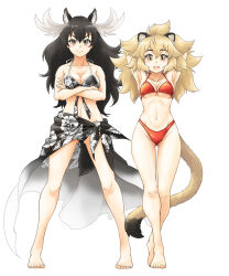 Rule 34 | 2girls, animal ears, arms behind head, arms up, barefoot, big hair, bikini, black hair, blonde hair, blush, breasts, brown eyes, cleavage, closed mouth, crossed arms, extra ears, floral print, full body, gluteal fold, grey hair, groin, halterneck, kemono friends, legs apart, lion (kemono friends), lion ears, lion girl, lion tail, long hair, looking at viewer, medium breasts, moose (kemono friends), moose ears, moose girl, moose tail, multicolored hair, multiple girls, naka (nicovideo14185763), navel, open mouth, print bikini, red bikini, sarong, side-by-side, simple background, smile, standing, stomach, swimsuit, tail, toes, two-tone hair, very long hair, white background, yellow eyes