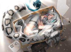 Rule 34 | 1girl, albreo, animal ears, arknights, black hair, box, braid, cardboard box, commentary, dress, english commentary, grey hair, grey thighhighs, headpiece, highres, in box, in container, leopard ears, leopard tail, light particles, light rays, long hair, lying, messy hair, multicolored hair, on side, pramanix (arknights), profile, sleeping, solo, sunbeam, sunlight, tail, thighhighs, twin braids, white dress