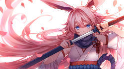 Rule 34 | 1girl, animal ears, black scarf, blue eyes, covered mouth, detached sleeves, floating hair, fox ears, hair between eyes, holding, holding sword, holding weapon, honkai (series), honkai impact 3rd, japanese clothes, katana, long hair, looking at viewer, making-of available, nontraditional miko, obi, petals, pink hair, rope, sash, scarf, sheath, shimenawa, solo, sougishi ego, sword, unsheathing, upper body, very long hair, weapon, yae sakura, yae sakura (gyakushinn miko)