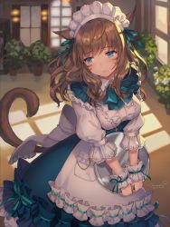 Rule 34 | 10s, 1girl, animal ears, apron, aqua eyes, blue eyes, blush, bow, breasts, brown hair, cat ears, cat tail, commentary request, facial mark, final fantasy, final fantasy xiv, hair ribbon, highres, holding, indoors, long hair, maid, maid apron, maid headdress, medium breasts, miqo&#039;te, momoko (momopoco), plant, potted plant, revision, ribbon, ribbon-trimmed clothes, ribbon trim, slit pupils, solo, tail, tray, v arms, waitress, wrist cuffs