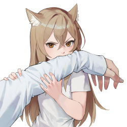 Rule 34 | 1girl, animal ear fluff, animal ears, bad id, bad pixiv id, biting, biting arm, brown eyes, brown hair, cat ears, commentary, crossed bangs, derivative work, dongho kang, english commentary, fang, hair between eyes, highres, holding own arm, long hair, long sleeves, looking at viewer, original, photo-referenced, photo inset, pov, reference inset, shirt, simple background, solo focus, upper body, white background, white shirt