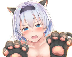 Rule 34 | 10s, 1girl, animal ears, animal hands, black hairband, blue eyes, blush, breasts, cat ears, cat tail, commentary request, fake animal ears, fang, gloves, hairband, looking at viewer, noa yj, nude, open mouth, paw gloves, ryuuou no oshigoto!, short hair, silver hair, simple background, sora ginko, tail, tears, upper body, white background