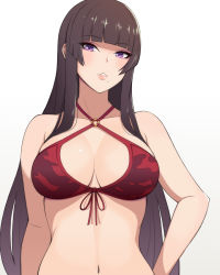 Rule 34 | 1girl, black hair, breasts, cleavage, dead or alive, highres, large breasts, long hair, looking at viewer, mole, mole under mouth, navel, nyotengu, purple eyes, solo, swimsuit