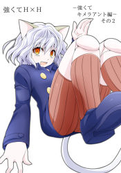 Rule 34 | 1girl, :d, animal ears, cat ears, cat girl, cat tail, cover, cover page, doll joints, hair between eyes, hunter x hunter, joints, long sleeves, looking at viewer, neferpitou, open mouth, other focus, short hair, smile, solo, tail, watarui, white hair, yellow eyes