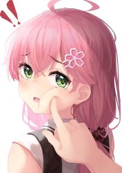 Rule 34 | !, !!, 1girl, absurdres, ahoge, blush, cheek poking, commentary request, flower, from behind, green eyes, hair between eyes, hair flower, hair ornament, highres, hololive, long hair, looking at viewer, looking back, open mouth, pink hair, poking, pov, pov hands, sakura miko, sakura miko (casual), shirt, simple background, starkamisan, upper body, virtual youtuber, white background, white shirt