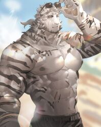 Rule 34 | 1boy, abs, adjusting eyewear, animal ears, arknights, bara, blue eyes, blurry, blurry background, cowboy shot, facial hair, furry, furry male, goatee, highres, large pectorals, looking at viewer, mountain (arknights), muscular, muscular male, navel, neumo, nipples, official alternate hairstyle, pectorals, scar, scar across eye, scar on arm, short hair, short ponytail, solo, sunglasses, sunlight, tail, thick eyebrows, tiger boy, tiger ears, tiger tail, v-taper, white fur, white hair