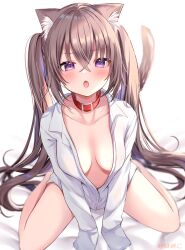 Rule 34 | 1girl, absurdres, animal ears, artist name, blurry, blurry background, blush, breasts, brown hair, cat ears, cat tail, choker, collarbone, collared shirt, crossed bangs, fang, hamico, highres, long sleeves, looking at viewer, medium breasts, no panties, no pants, on bed, open clothes, open mouth, open shirt, original, purple eyes, red choker, shirt, sidelocks, simple background, sitting, solo, tail, twintails, wariza, white background