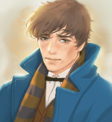 Rule 34 | 1boy, bow, bowtie, brown eyes, brown hair, coat, fantastic beasts and where to find them, freckles, harry potter (series), male focus, newt scamander, portrait, scarf, wizarding world, yunzhi-zz