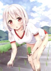 Rule 34 | 1girl, :o, absurdres, bent over, blush, breasts, buruma, cleavage, cloud, cloudy sky, collarbone, cowboy shot, day, dirty, dirty clothes, dirty face, field, grass, gym uniform, hair bobbles, hair ornament, highres, karutamo, leaning forward, looking at viewer, low twintails, medium breasts, mountain, open mouth, original, outdoors, pink hair, puffy short sleeves, puffy sleeves, red eyes, rice paddy, scan, shirt, short sleeves, sky, solo, tisshu (karutamo), twintails, water, white shirt