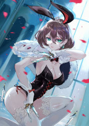 Rule 34 | 1girl, animal ears, aqua eyes, black bow, black leotard, bow, breasts, brown hair, capelet, cleavage, counter:side, dagger, earrings, elizabeth pendragon, fur capelet, gloves, highres, holding, holding dagger, holding knife, holding weapon, jewelry, knife, leotard, looking at viewer, medium breasts, official alternate costume, petals, playboy bunny, rabbit ears, short hair, solo, strapless, strapless leotard, sword, thighhighs, tiara, vardan, weapon, white capelet, white gloves, white thighhighs, window