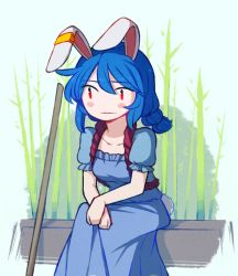 Rule 34 | 1girl, :|, animal ears, bamboo, blue dress, blue hair, blush, closed mouth, collarbone, commentary, dress, earclip, english commentary, hair between eyes, long hair, looking away, puffy short sleeves, puffy sleeves, rabbit ears, rabbit tail, red eyes, seiran (touhou), short sleeves, sitting, solo, speckticuls, tail, touhou