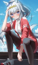 Rule 34 | 1girl, absurdres, ahoge, animal ears, black pantyhose, blue eyes, blue sky, blush, closed mouth, cloud, commentary request, day, highres, horse ears, horse girl, horse tail, jacket, long hair, long sleeves, looking at viewer, ningen mame, oguri cap (umamusume), outdoors, pantyhose, shoes, silver hair, sitting, sky, solo, tail, track jacket, umamusume, white footwear, zipper
