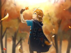 Rule 34 | 1boy, arm up, autumn leaves, black cape, blonde hair, blue tunic, blurry, blurry background, brown gloves, cape, closed mouth, commentary, falling leaves, fingerless gloves, forest, gloves, highres, holding, holding leaf, leaf, link, male focus, maple leaf, maya (mayamayammy), medium hair, nature, nintendo, outdoors, pointy ears, profile, short ponytail, smile, the legend of zelda, the legend of zelda: breath of the wild, tree