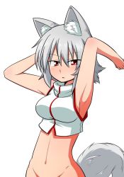 Rule 34 | &gt;:o, 1girl, :o, adapted costume, animal ears, armpits, arms up, bare shoulders, blush, bottomless, breasts, crop top, groin, inubashiri momiji, looking at viewer, medium breasts, no headwear, no headwear, no panties, one-hour drawing challenge, out-of-frame censoring, parted lips, red eyes, shirt, short hair, sideboob, silver hair, sleeveless, sleeveless shirt, solo, sumiya nadateru, tail, touhou, tsurime, v-shaped eyebrows, white shirt, wolf ears, wolf tail