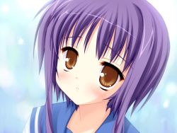 Rule 34 | 1girl, bra-ban!, brown eyes, game cg, kobuichi, mikage sumi, purple hair, school uniform, serafuku, solo