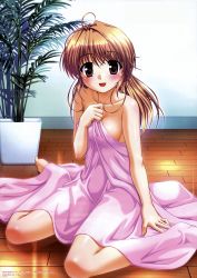 Rule 34 | 1girl, absurdres, ahoge, barefoot, bed sheet, bekkankou, blush, breasts, brown eyes, brown hair, covering privates, fortune arterial, highres, large breasts, legs folded, long hair, naked sheet, no bra, plant, potted plant, sideboob, sitting, smile, solo, under covers, wariza, yuuki haruna