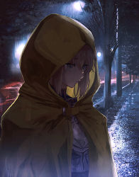 Rule 34 | 1girl, armor, artoria pendragon (all), artoria pendragon (fate), blonde hair, breastplate, closed mouth, coat, commentary request, fate/stay night, fate (series), green eyes, hair between eyes, highres, hood, hood up, hooded coat, looking away, night, nigiri, rain, raincoat, saber (fate), short hair, solo, tree, upper body, yellow coat, yellow raincoat
