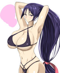 Rule 34 | 1girl, adjusting hair, armpits, arms up, bad proportions, bare arms, bare shoulders, bikini, breasts, fate/grand order, fate (series), hairband, large breasts, long hair, looking at viewer, minamoto no raikou (fate), minamoto no raikou (fate/grand order), minamoto no raikou (swimsuit lancer) (fate), ponytail, purple bikini, purple eyes, purple hair, smile, solo, stomach, swimsuit, takara joney, very long hair
