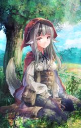 Rule 34 | 1girl, animal ears, belt, black pants, boots, fire emblem, fire emblem fates, flower, frown, fuussu (21-kazin), gloves, looking at viewer, nintendo, pants, pouch, red eyes, red hood, shirt, sitting, sunlight, tail, tree, velouria (fire emblem), wariza, white shirt, wolf ears, wolf tail