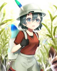 Rule 34 | 10s, 2girls, animal ears, backpack, bag, black gloves, black hair, blue eyes, blurry, blush, breasts, bright background, bucket hat, collarbone, cowboy shot, depth of field, feathers, gloves, grass, grey hat, grey skirt, hair between eyes, hat, hat feather, highres, holding, hole, kaban (kemono friends), kemono friends, lens flare, looking at viewer, lucky beast (kemono friends), mugi (iccomae), multiple girls, open mouth, out of frame, outdoors, plant, red shirt, safari hat, serval (kemono friends), shirt, shirt tucked in, short hair, skirt, solo focus, striped, tail, torn clothes, torn hat, undershirt, wavy hair