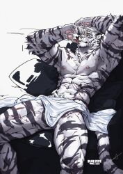Rule 34 | 1boy, abs, animal ears, arknights, arms up, bara, blue563619, cup, drinking, facial hair, feet out of frame, furry, furry male, goatee, highres, holding, holding cup, large hands, large pectorals, legs apart, male focus, mature male, mountain (arknights), muscular, muscular male, navel, nipples, pectorals, pubic hair, pubic hair peek, scar, scar across eye, short hair, sitting, solo, thick eyebrows, thick thighs, thighs, tiger boy, tiger ears, tiger stripes, towel around waist, white fur, white hair