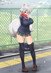 Rule 34 | 1girl, animal ears, bag, black legwear, breasts, eyebrows, female focus, highres, inubashiri momiji, large breasts, loafers, looking at viewer, red eyes, red scarf, road, scarf, school uniform, shoes, short hair, silver hair, skirt, smile, solo, street, tactile paving, tail, thick eyebrows, thighs, tochinoko, touhou, wolf ears, wolf tail