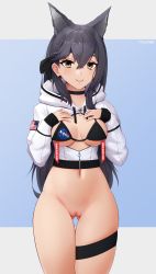 Rule 34 | 1girl, absurdres, american flag, animal ears, atago (azur lane), atago (stunning speedster) (azur lane), azur lane, bikini, bikini top only, black bikini, black choker, black hair, bottomless, bow, breasts, brown eyes, censored, center opening, choker, commission, crop top, crossed bangs, extra ears, gluteal fold, hair bow, hands on own chest, highres, hood, hood down, hooded jacket, jacket, long hair, looking at viewer, medium breasts, mosaic censoring, nasa logo, navel, official alternate costume, pussy, solo, swimsuit, the atko, thigh strap, two-tone background, zipper, zipper pull tab