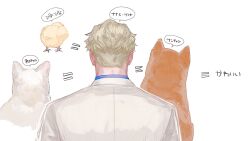 Rule 34 | 1boy, back, bird, blonde hair, blue shirt, cat, chick, collared shirt, commentary, dog, formal, from behind, grey suit, highres, jujutsu kaisen, male focus, nana suko, nanami kento, shirt, short hair, solo, suit, symbol-only commentary, undercut, upper body
