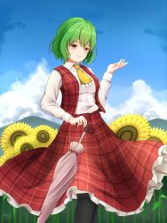 Rule 34 | 1girl, ascot, closed mouth, collared shirt, commentary, english commentary, field, flower, flower field, green hair, hatoman (ytef4434), highres, holding, holding umbrella, kazami yuuka, long sleeves, looking at viewer, outdoors, pink umbrella, plaid, plaid skirt, plaid vest, red eyes, red vest, shirt, short hair, skirt, smile, solo, sunflower, sunflower field, touhou, umbrella, vest, white shirt, yellow ascot
