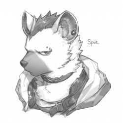 Rule 34 | 1boy, arknights, ear piercing, eyebrow piercing, furry, furry male, goshiki, highres, hyena boy, hyena ears, infection monitor (arknights), looking at viewer, male focus, monochrome, piercing, portrait, solo, spot (arknights), white background