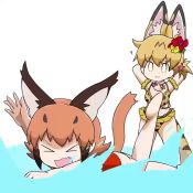 Rule 34 | &gt; &lt;, 2girls, :3, ?, animal ear fluff, animal ears, animated, arms behind head, bikini, blonde hair, caracal (kemono friends), chibi, commentary, extra ears, fang, flailing, flower, hair flower, hair ornament, jewelry, kemono friends, looping animation, multiple girls, necklace, one-piece swimsuit, orange hair, print bikini, red one-piece swimsuit, serval (kemono friends), serval print, serval tail, shell, shell necklace, short hair, short ponytail, splashing, swimming, swimsuit, tail, taro (tontaro), video, wading, water