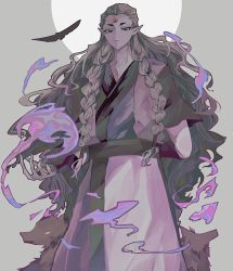 Rule 34 | 1boy, arm behind back, bird, braid, cowboy shot, diting (the legend of luoxiaohei), dog, fire, grey background, hair pulled back, highres, horns, long hair, looking at viewer, male focus, nxo11, pointy ears, purple fire, short sleeves, single horn, solo, luo xiaohei zhanji, twin braids, very long hair