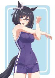 Rule 34 | 1girl, :d, absurdres, animal ears, black hair, blue eyes, blush, breasts, buruma, competition school swimsuit, covered navel, eishin flash (umamusume), fuusuke (fusuke208), highres, horse ears, horse girl, horse tail, looking at viewer, medium breasts, open mouth, school swimsuit, shirt, short hair, smile, solo, sportswear, stretching, swimsuit, tail, tight clothes, tight shirt, umamusume, underwear