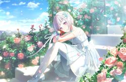 Rule 34 | 1girl, :d, aqua rose, blue flower, blue rose, blue sky, bob cut, bow, choker, colored inner hair, diagonal bangs, dress, dress flower, falling petals, flower, flower bush, flower choker, footwear bow, game cg, grey hair, grin, hair flower, hair ornament, highres, holding, holding microphone, inverted bob, link! like! love live!, looking at viewer, love live!, mary janes, microphone, mountainous horizon, multicolored hair, official art, open mouth, pantyhose, petals, pink flower, pink rose, red eyes, red hair, rose, see-through, see-through sleeves, shoes, short hair, short sleeves, single wrist cuff, sitting, sitting on stairs, sky, smile, solo, stairs, streaked hair, third-party source, virtual youtuber, white bow, white choker, white dress, white footwear, white pantyhose, white wrist cuffs, wrist cuffs, yugiri tsuzuri