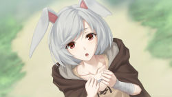 Rule 34 | 1girl, :o, animal ears, bandaged arm, bandages, blurry, blurry background, brown cloak, brown skirt, cloak, collarbone, depth of field, dutch angle, grey hair, hands up, highres, hood, hood down, hooded cloak, looking at viewer, miura-n315, notched ear, open mouth, original, rabbit ears, red eyes, skirt, solo, swept bangs