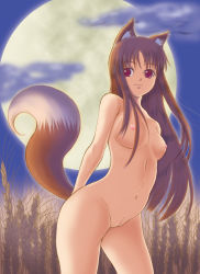 Rule 34 | 00s, 1girl, animal ears, bad anatomy, bad vulva, breasts, brown hair, cleft of venus, cowboy shot, holo, long hair, medium breasts, nipples, nude, poorly drawn, pussy, red eyes, solo, spice and wolf, tail, uncensored, wolf ears, wolf tail, yappy