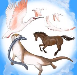 Rule 34 | animal, animal focus, bird, cloud, crane (animal), eel, horse, no humans, official art, otter, sekiguchi taro, yurusaba.