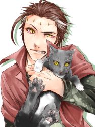 Rule 34 | 1boy, 91, 91 (ichi0630), bad id, bad pixiv id, big al, brown hair, cat, male focus, scar, simple background, smile, solo, stitches, vocaloid, yellow eyes