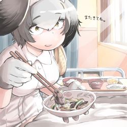 Rule 34 | 10s, 1girl, :d, bed, bowl, breasts, chopsticks, commentary request, curtains, feeding, food, gloves, gradient hair, grey hair, hair between eyes, hare (tetterutei), head wings, highres, holding, holding bowl, hospital, hospital bed, incoming food, indoors, kemono friends, large breasts, light rays, looking at viewer, multicolored hair, nurse, open mouth, parted lips, pov, pov feeding, privacy screen, rice, round teeth, sanpaku, shoebill (kemono friends), short hair, smile, solo, teeth, translation request, tray, white gloves, window, wing collar, wings, yellow eyes