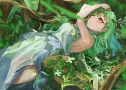 Rule 34 | 1girl, acoustic guitar, antlers, arm up, blanc (whit blanc), blurry, blurry foreground, breasts, ceres fauna, dress, flower, forest, green hair, guitar, hair flower, hair ornament, hand on own head, highres, hololive, hololive english, horns, instrument, leaf, long hair, lying, medium breasts, mole, mole under eye, nature, on back, plant, plant roots, sideboob, solo, tree, vines, virtual youtuber, white dress, yellow eyes