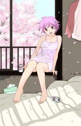 Rule 34 | 1girl, alcohol, barefoot, bed, beer, breasts, can, cherry blossoms, dress, feet, ghost, indoors, itoshi no kana, kana (itoshi no kana), kana (my lovely ghost kana), legs, lingerie, negligee, petals, pink eyes, pink hair, purple eyes, purple hair, see-through, short hair, sitting, sky, solo, tanaka yutaka, tissue, tissue box, underwear, window