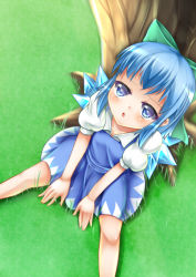 Rule 34 | 1girl, :o, against tree, blue dress, blue hair, blue skirt, bow, cirno, dress, dutch angle, from above, grass, hair bow, ice, ice wings, kirimori toya, legs apart, looking at viewer, looking up, puffy short sleeves, puffy sleeves, short hair, short sleeves, sitting, skirt, solo, spread legs, touhou, tree, wings