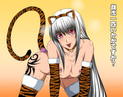 Rule 34 | 1girl, all fours, anal, anal object insertion, anal tail, animal costume, animal ears, animal print, ass, blush, breasts, butt plug, collar, dripping, fake tail, female focus, flat chest, kido keiji, long hair, looking at viewer, nipple piercing, nipple rings, nipples, nude, object insertion, piercing, pink eyes, pussy juice, sex toy, simple background, smell, solo, steam, sweat, tail, tattoo, text focus, thighhighs, tiger costume, tiger ears, tiger print, tiger tail, tongue, tongue out, translation request, very long hair, white hair