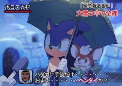 Rule 34 | 3boys, animal nose, aoki (fumomo), chip (sonic), eating, floating, furry, furry male, green eyes, holding, holding umbrella, igloo, insect wings, interview, meme, microphone, multiple boys, polka dot, polka dot umbrella, shared umbrella, snow shelter, snowing, sonic (series), sonic the hedgehog, sonic unleashed, special feeling (meme), standing, translation request, umbrella, wings