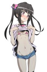 Rule 34 | 1girl, bikini, black hair, blue shorts, blush, bow, bowtie, breasts, clothes lift, fujikawa daichi, groin, hair ornament, hair ribbon, lifted by self, looking to the side, navel, parted lips, pink bikini, pink bow, pink bowtie, red eyes, ribbon, senki zesshou symphogear, shirt lift, short shorts, shorts, simple background, small breasts, solo, standing, swimsuit, tsukuyomi shirabe, twintails, white background