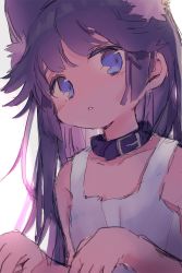 Rule 34 | 1girl, animal ears, bare arms, bare shoulders, belt buckle, belt collar, black collar, blue eyes, blush, buckle, cat ears, collar, collarbone, gradient background, grey background, hands up, highres, long hair, looking at viewer, original, parted lips, purple hair, sha2mo, shirt, sketch, solo, tank top, very long hair, white background, white shirt