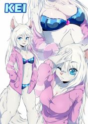 Rule 34 | 1girl, :3, :d, animal ears, bikini, blue bikini, blue eyes, breasts, character name, cleavage, coffeechicken, collarbone, commentary, commission, fang, furry, furry female, hair between eyes, hand on own head, highres, hood, hoodie, long hair, looking at viewer, medium breasts, multiple views, navel, nose piercing, one eye closed, open clothes, open hoodie, open mouth, original, parted lips, piercing, pink hoodie, smile, standing, swimsuit, tail, white background, white hair, wolf ears, wolf tail