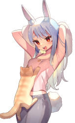 1girl :d alternate_costume animal animal_ear_fluff animal_ears armpits arms_up bare_shoulders black_pants blue_hair blush breasts camisole cat commentary_request highres hololive hololive_fantasy long_hair midriff_peek open_mouth pants rabbit_ears rabbit_girl rabbit_tail red_eyes short_eyebrows simple_background small_breasts smile solo tail teeth thick_eyebrows towel upper_teeth_only usada_pekora very_long_hair virtual_youtuber white_background white_camisole zenshin