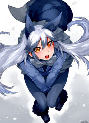 Rule 34 | 10s, 1girl, 2017, :o, animal ears, between legs, black pantyhose, blue jacket, bow, bowtie, dated, extra ears, fox ears, fox tail, from above, grey bow, grey bowtie, grey skirt, hair between eyes, hand between legs, happa (cloverppd), jacket, kemono friends, long hair, looking at viewer, looking up, miniskirt, orange eyes, pantyhose, pleated skirt, signature, silver fox (kemono friends), silver hair, skirt, snow, solo, tail